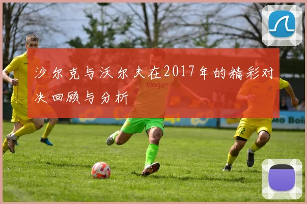 沙尔克与沃尔夫在2017年的精彩对决回顾与分析