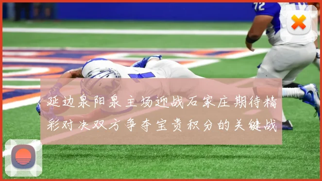 延边泉阳泉主场迎战石家庄期待精彩对决双方争夺宝贵积分的关键战役